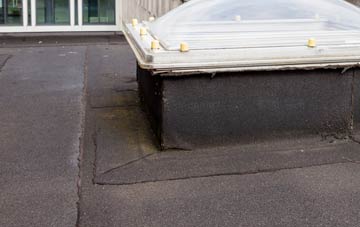 disadvantages of Dail Beag flat roofs