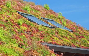 Dail Beag living roof systems