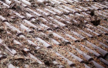 Dail Beag roof cleaning companies